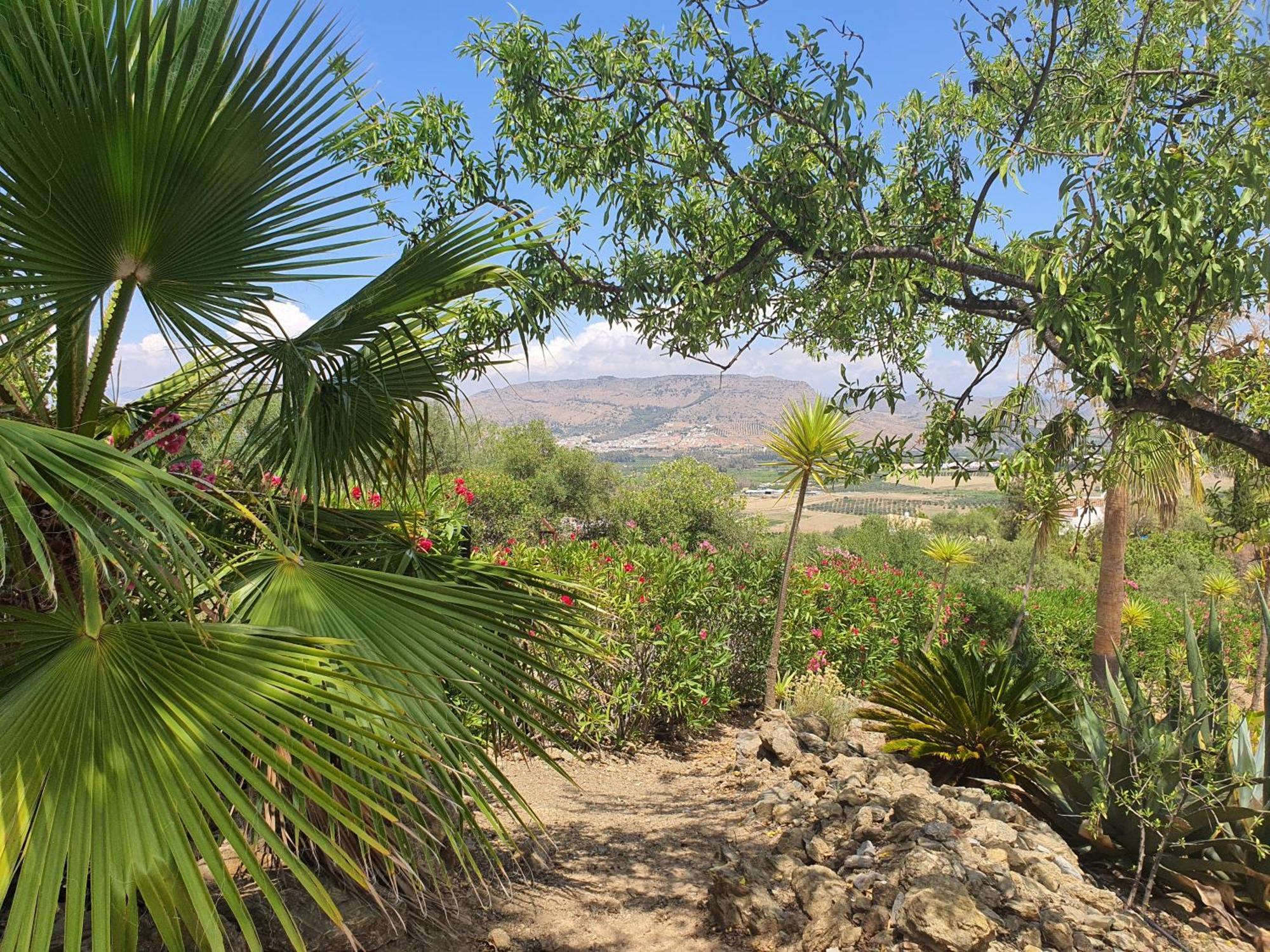 Finca Flamenco Holiday Suites Adults Only Pizarra Luaran gambar
