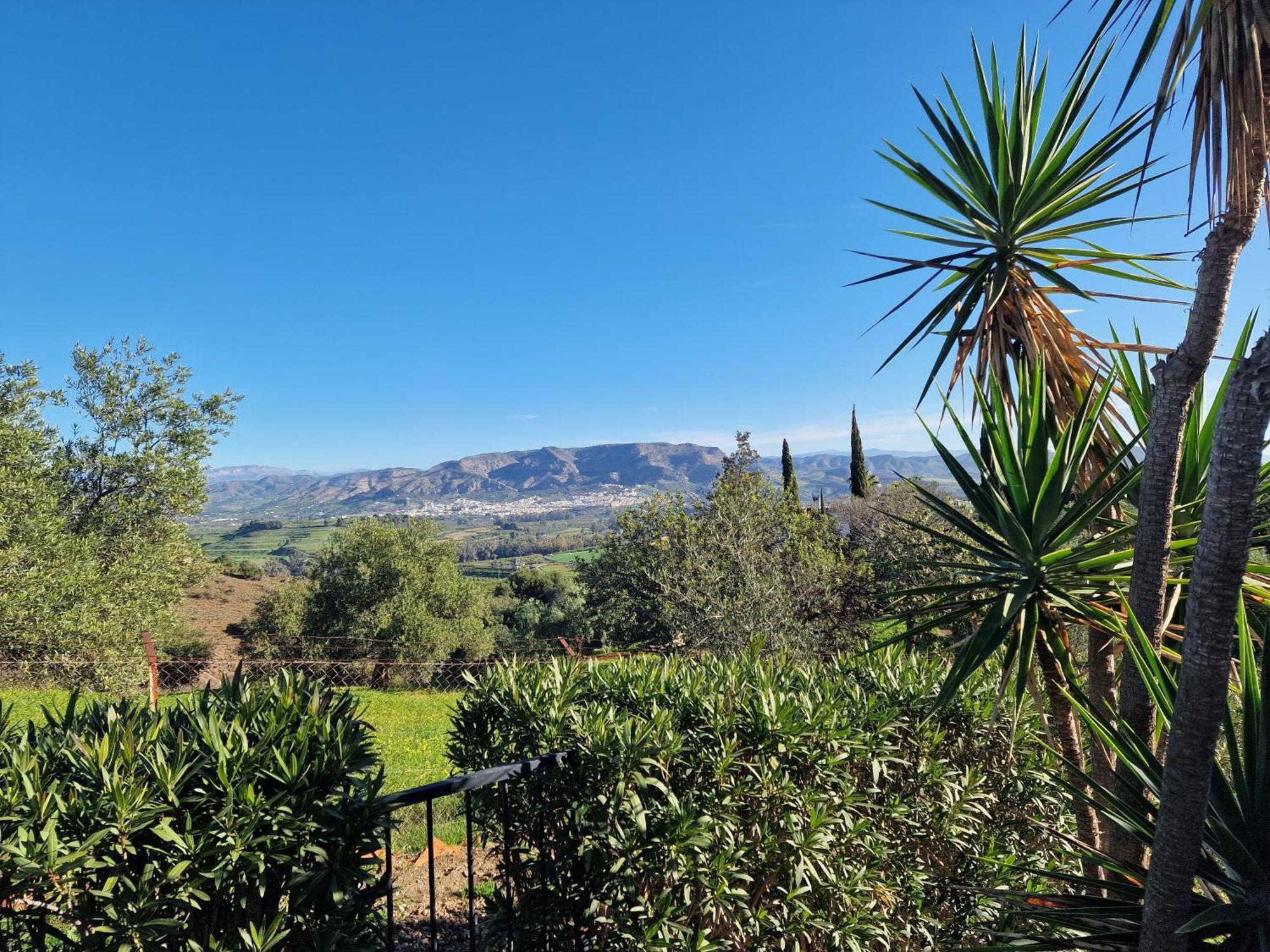 Finca Flamenco Holiday Suites Adults Only Pizarra Luaran gambar